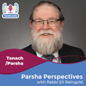 Parsha Perspectives