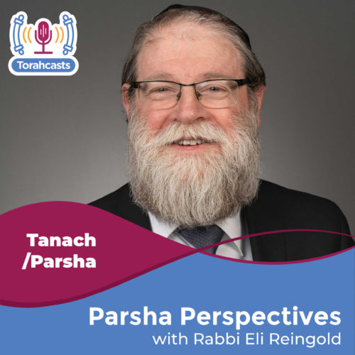 Parsha Perspectives Torahcasts