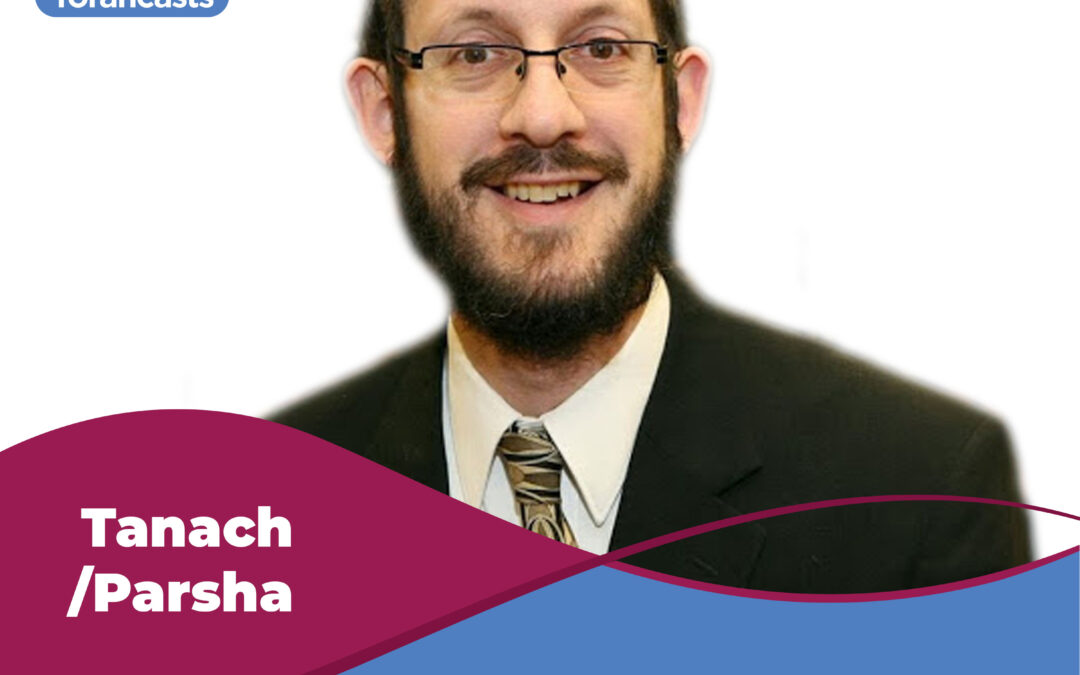 Parashah Explorations