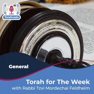 Torah for The Week