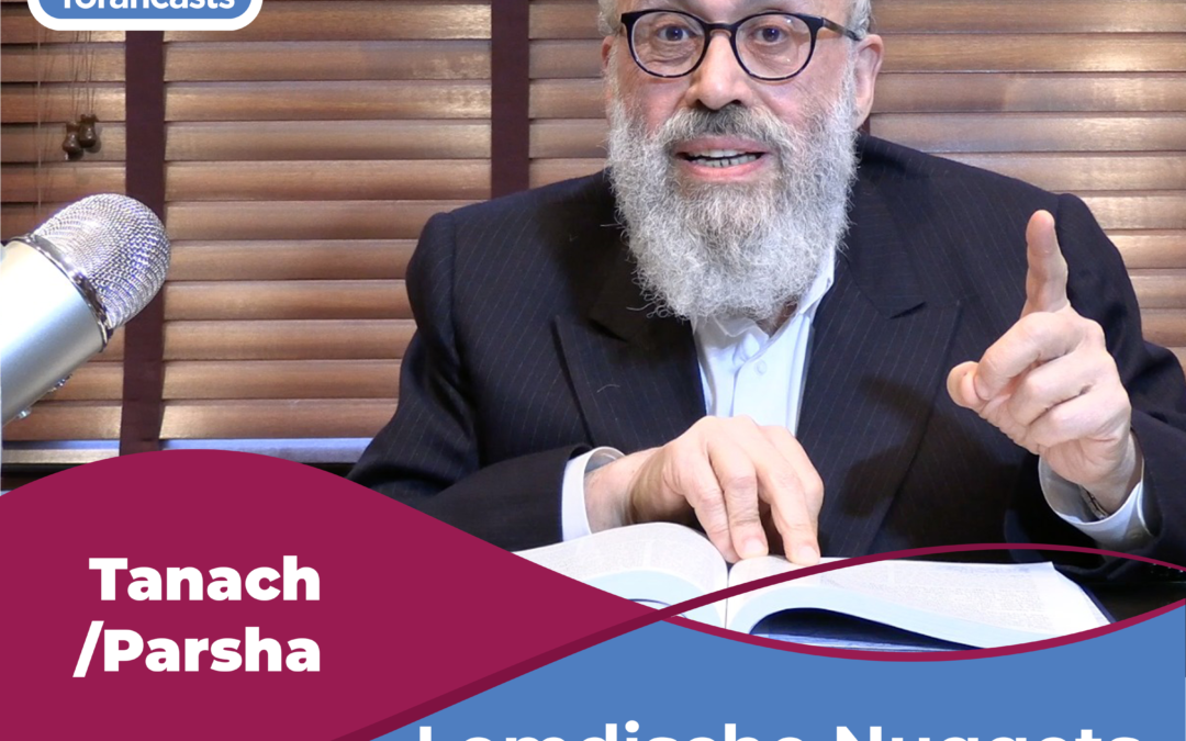 Torah Wisdom Weekly