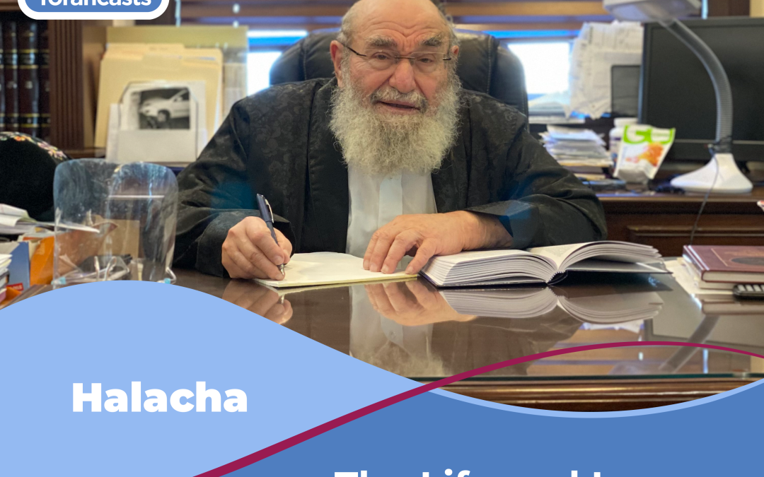The Life and Legacy of R. Dovid Feinstein Zt”l