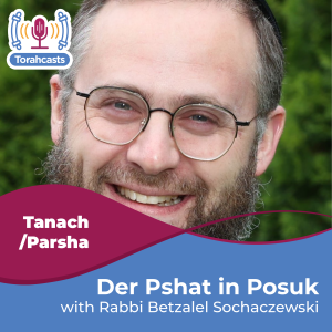 Der Pshat in Posuk