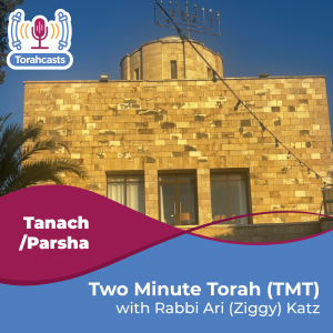 Two Minute Torah (TMT)