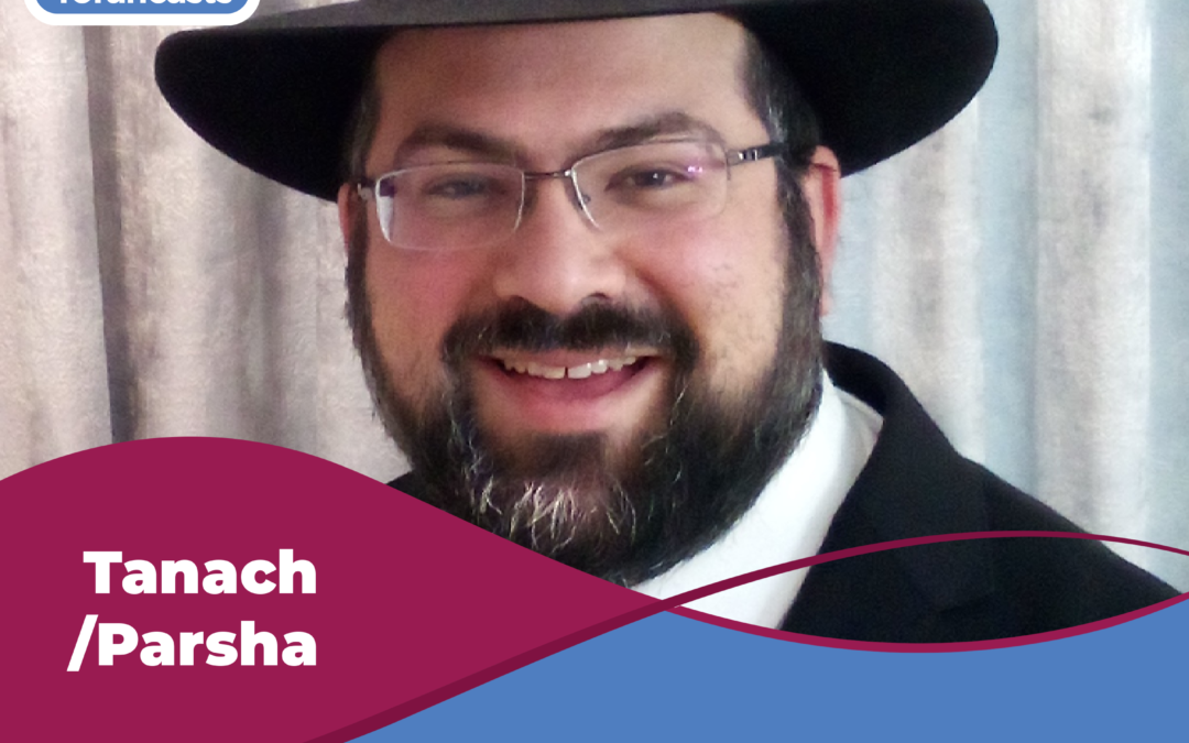 Rabbi Cohn on the Parsha