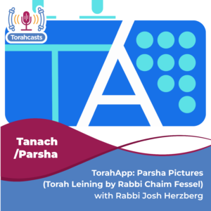 TorahApp: Parsha Pictures (Torah Leining by Rabbi Chaim Fessel)